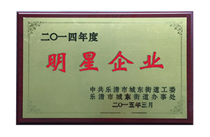 2014樂清市明星企業(yè)