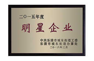 2015樂清市明星企業(yè)