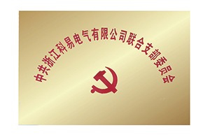科易公司黨支部