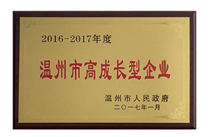 溫州市高成長型企業(yè)