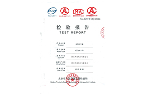 檢測報告-1